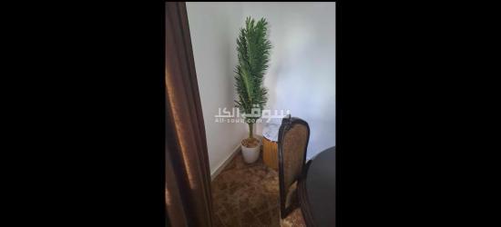 ضاحية الرشيد - 3