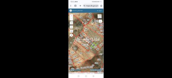 أرض زراعية مميزة للبيع في المفرق الدجنيه - 4