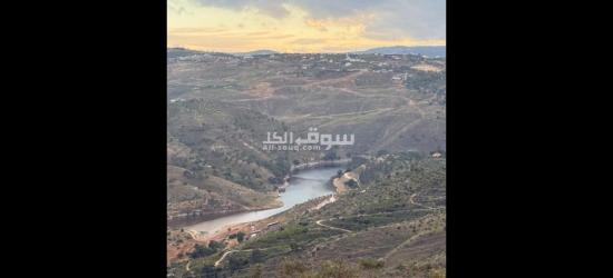 أراضي الاحلام - 5