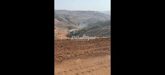 أراضي الاحلام - 6